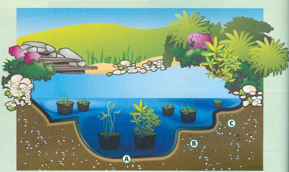 Gartenteich planen und anlegen Meinen Kleingarten planen und gestalten