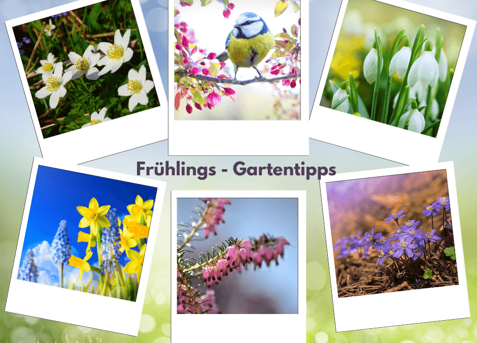 Gartentipps für den Frühling: Eine Einführung mit Checkliste