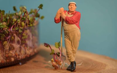 Neue Trends in der Gartentechnik: Smarte Geräte für die Gartenpflege