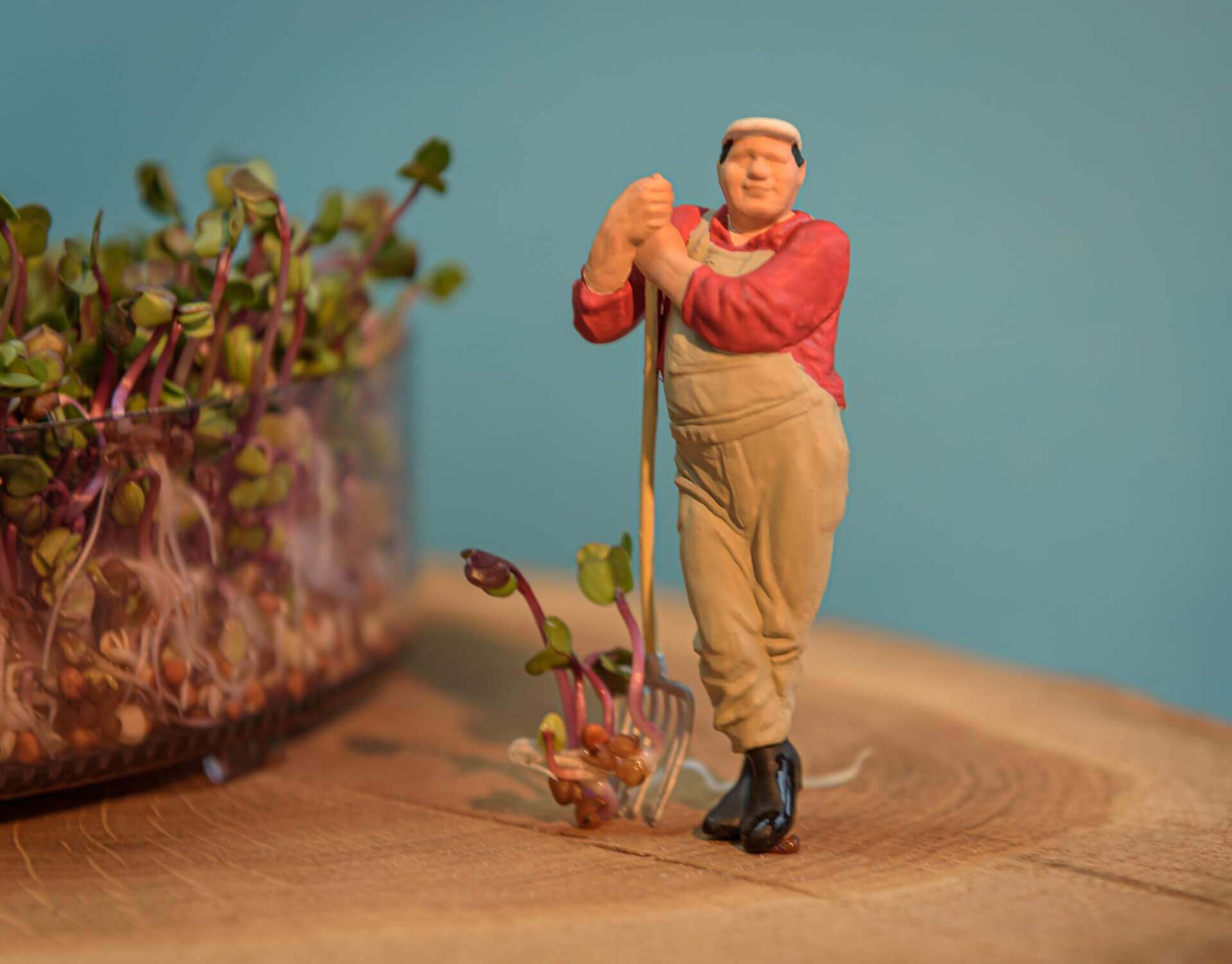 Neue Trends in der Gartentechnik: Smarte Geräte für die Gartenpflege