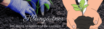 Meinen Kleingarten planen und gestalten
